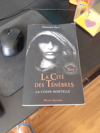 Livre la cite des tenebres