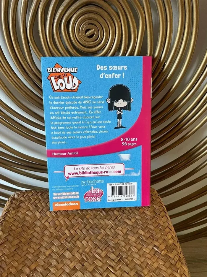 Livre bienvenue chez les Loud "des soeurs d'enfer" - photo numéro 2