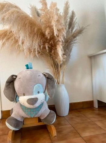 Chaise bascule nattou chien