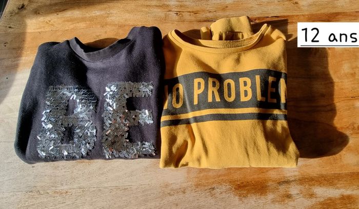 Lot 2 sweats fille 12 ans