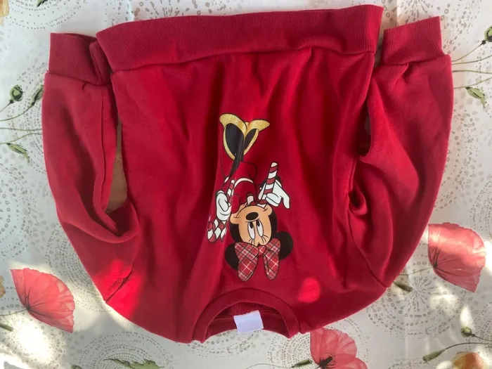 Lot de 6 sweat et 2 robe pulls 6 ans - photo numéro 5