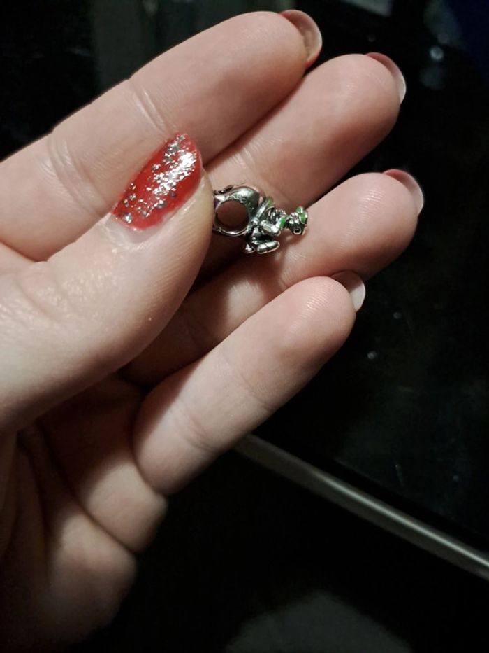 Accessoire - photo numéro 7