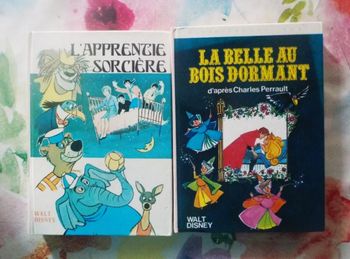2 BIBLIOTHEQUE ROSE LA BELLE AU BOIS DORMANT et L'APPRENTIE SORCIERE