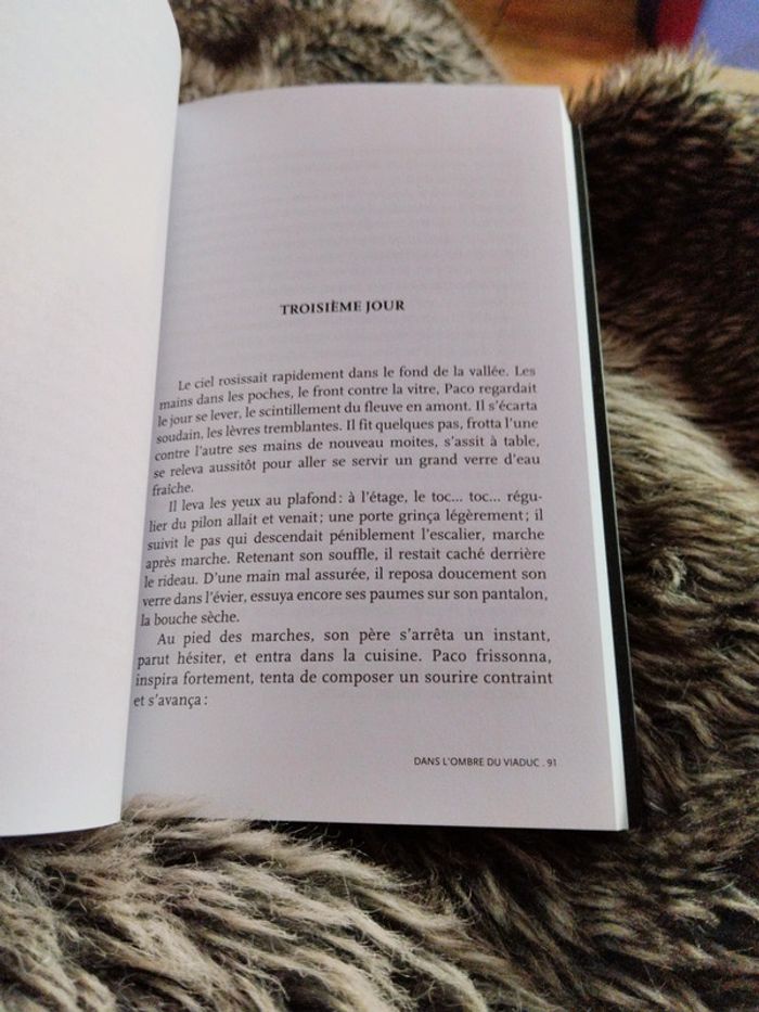 Dans l'ombre du viaduc - photo numéro 4