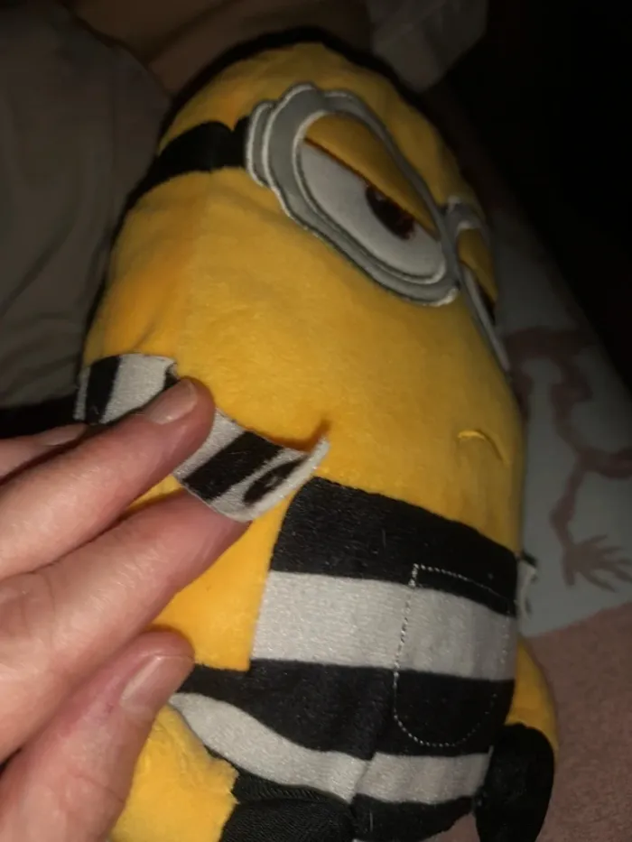 Minion prisonnier - photo numéro 3