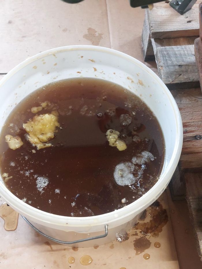 Miel naturel de sapin - photo numéro 7