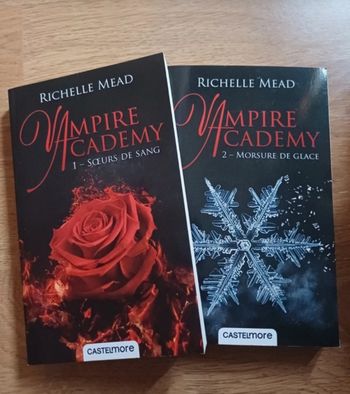 Vampire academy 