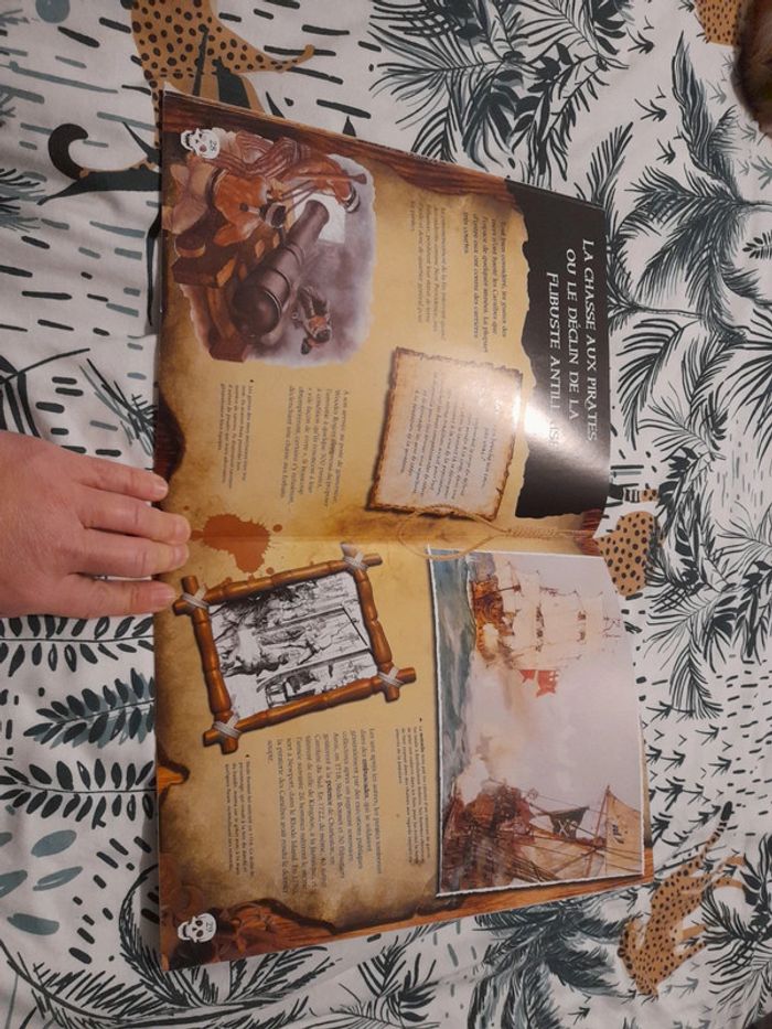 Barbe-Noire et les pirates des caraïbes - photo numéro 9