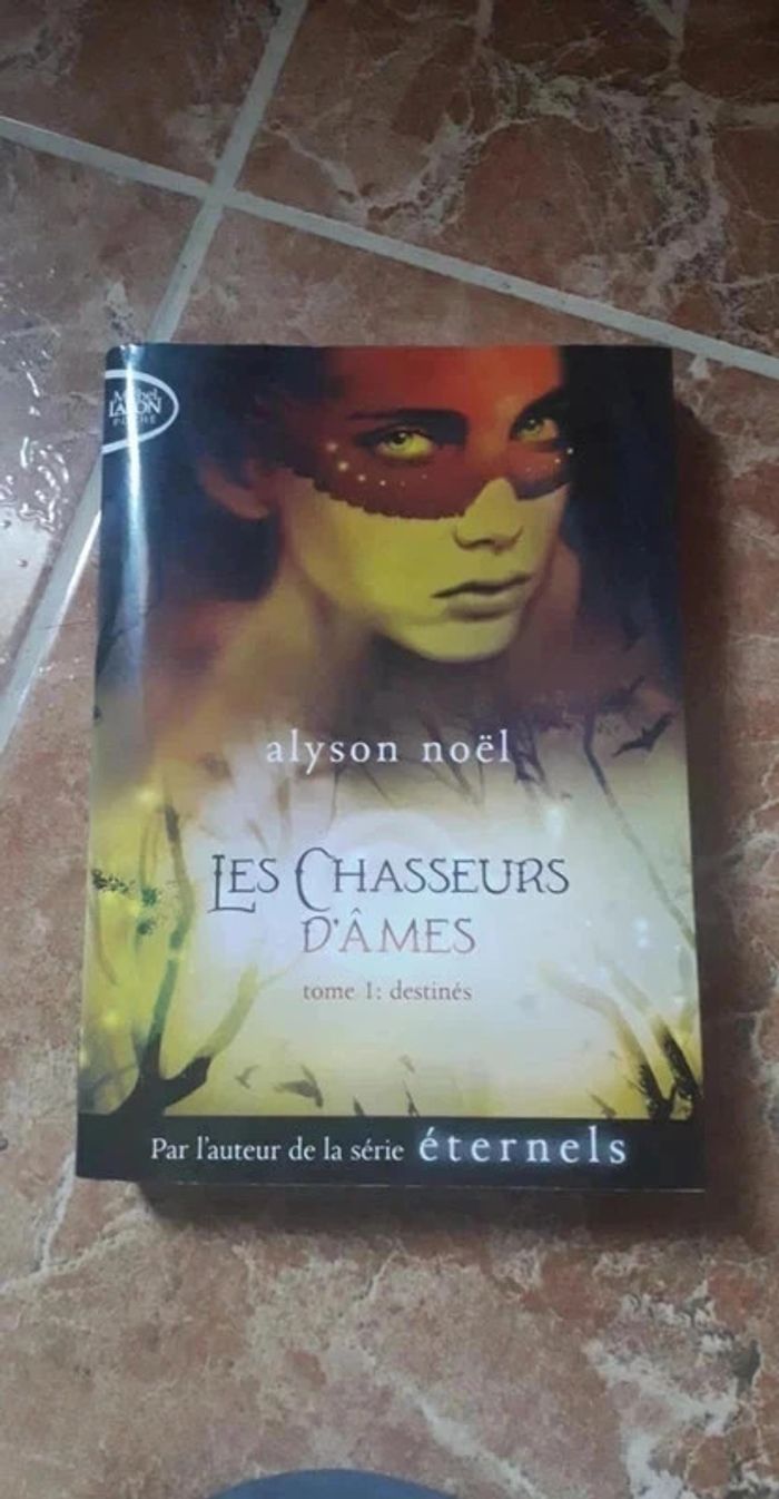 Livre / Les chasseurs d'âmes / Tome 1: destinés / Alyson noël.