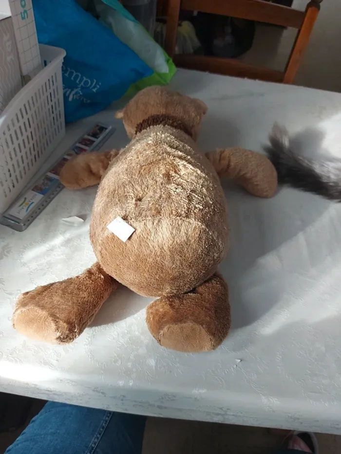 Ours en peluche - photo numéro 3