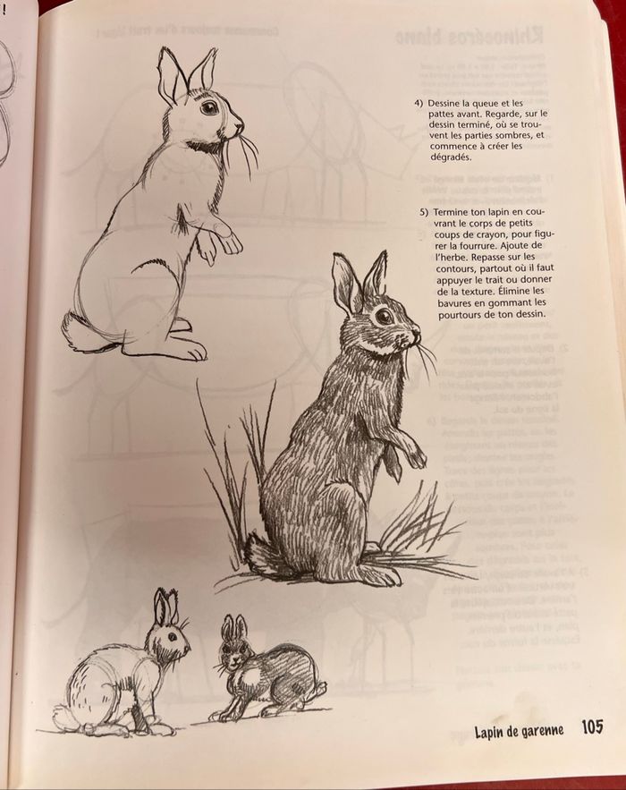 Dessiner pas à pas - photo numéro 7