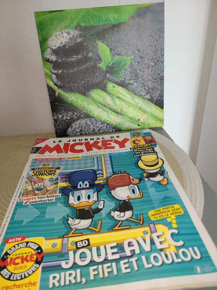 Livre Le Journal de Mickey - photo numéro 4