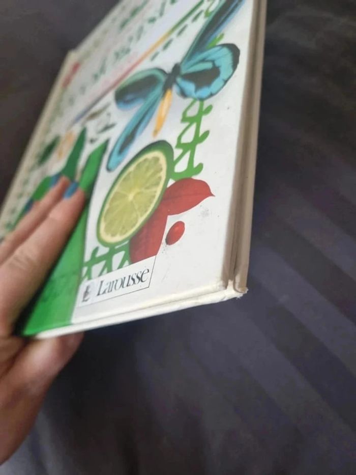 Livre Les petits Ecologistes en Action - photo numéro 8