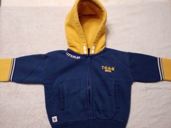 Sweat zippé à capuche Tape à l'oeil 4 ans (réf perso S23)(familleac72)