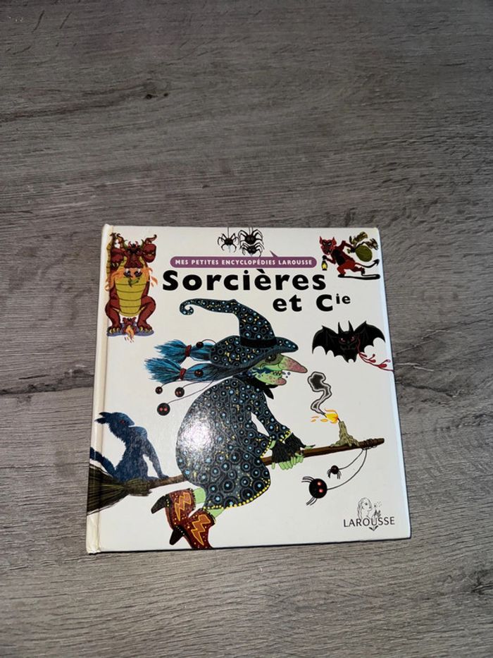 Livre mes petites encyclopédies Larousse sorcières et cie