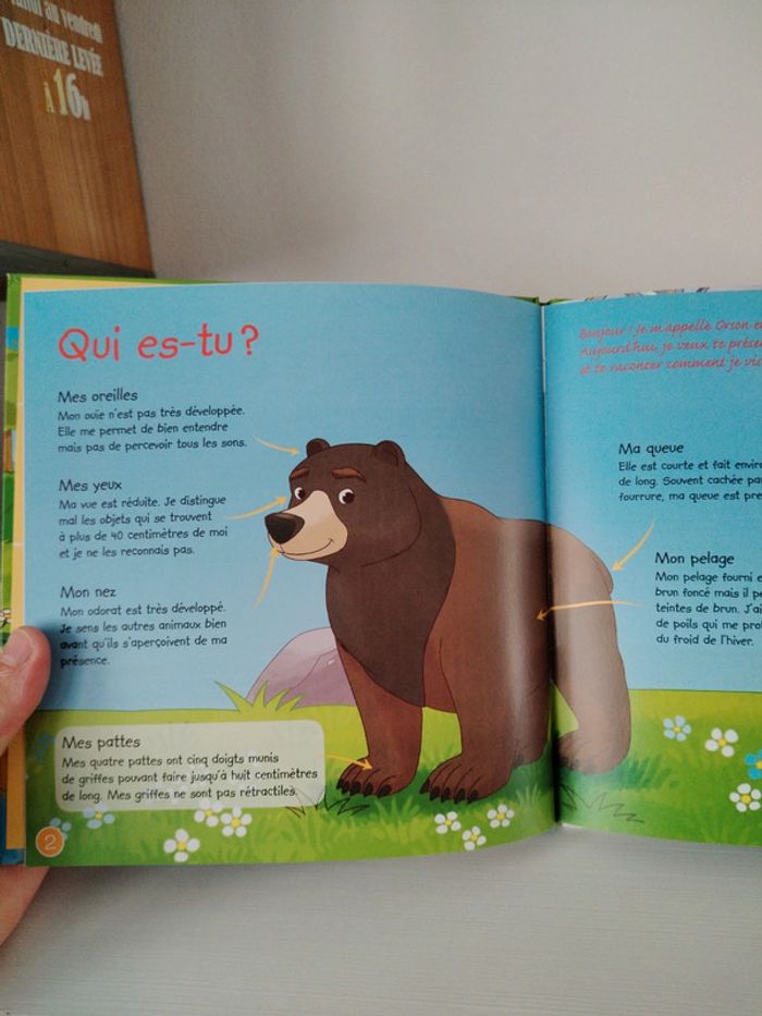 Altaya Les animaux de la forêt n°2 L'ours brun - photo numéro 8