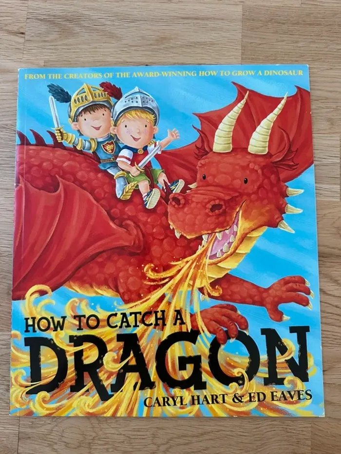 How to catch a dragon