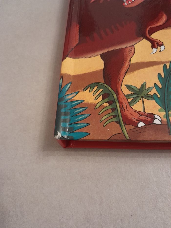 Kididoc les dinausaures - photo numéro 5