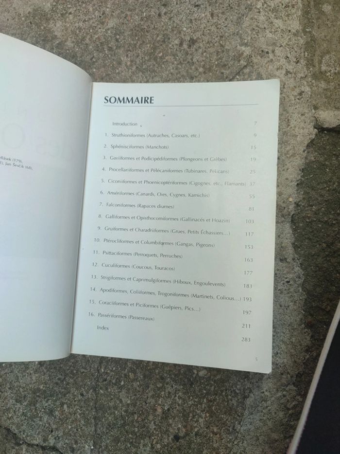 Livre l'univers des oiseaux - photo numéro 8