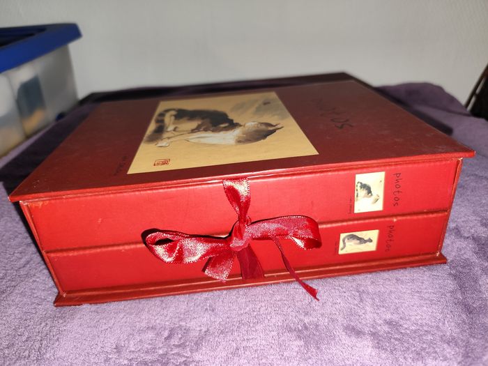 Coffret 2 Album photos chats art gallery forme livre avec estampes chinoises chen dehong - photo numéro 2