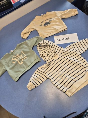 lot de 3 pull garçon taille 18 mois