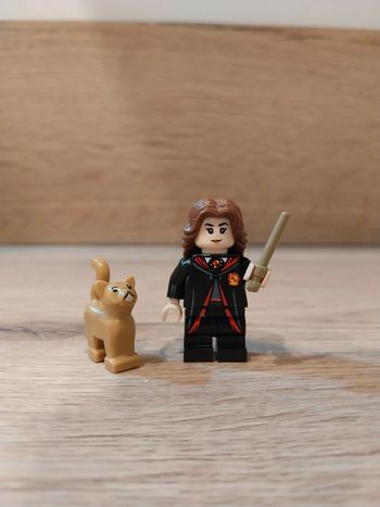 Figurine type lego Hermione Harry Potter
