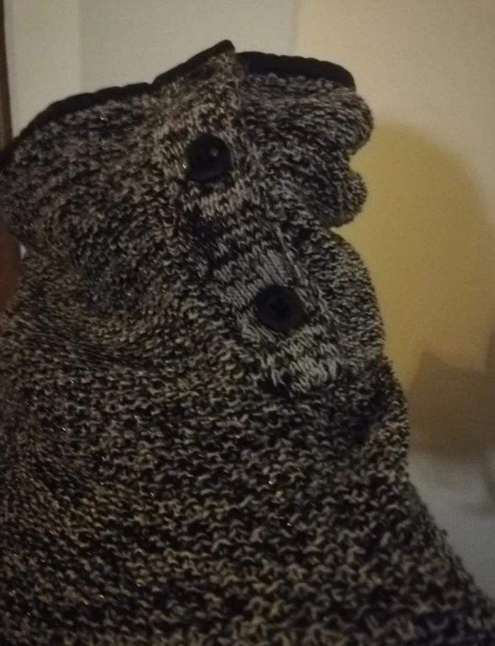 Poncho - photo numéro 4