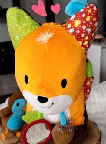 Nature et Découvertes Renard d'activités 