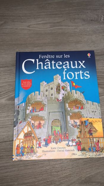 Fenêtre sur les châteaux forts