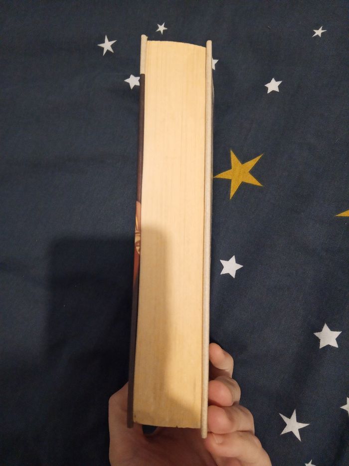 Livre (97) 📚 Les enfants du pas du loup - photo numéro 4