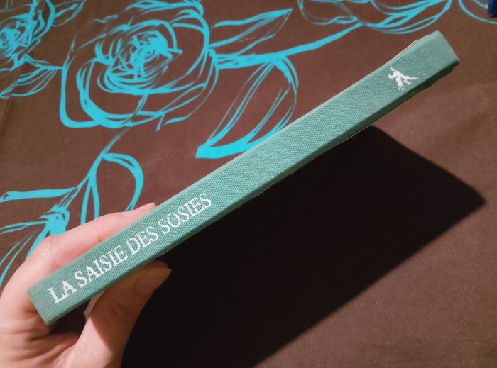 La saisie des sosies - photo numéro 5