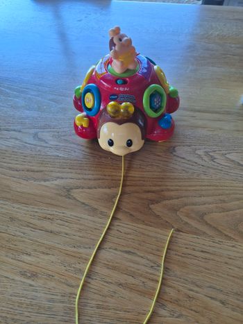 Coccinelle des formes Vetch