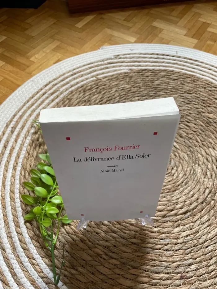 Livre - la délivrance D’ella Soler - photo numéro 2