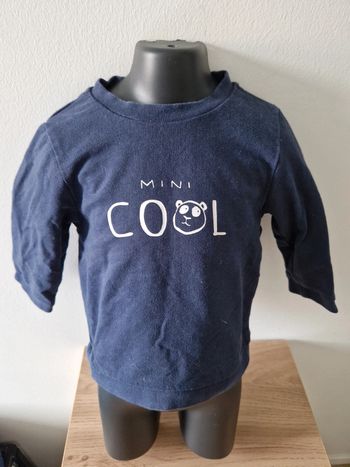Pull 12 mois
