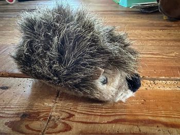 Steiff peluche doudou Hérisson 14cm vintage petit realiste