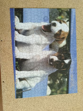 puzzle chiot