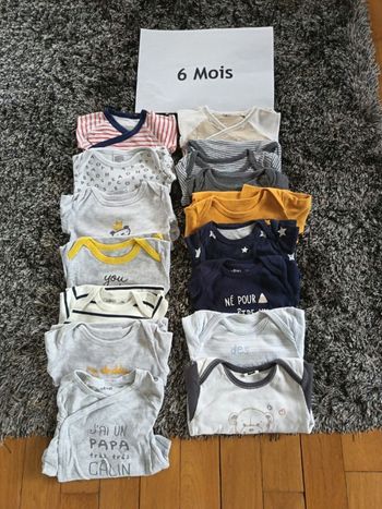 Lot 15 bodies 6 mois manches longues
