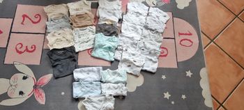 Lot bodies