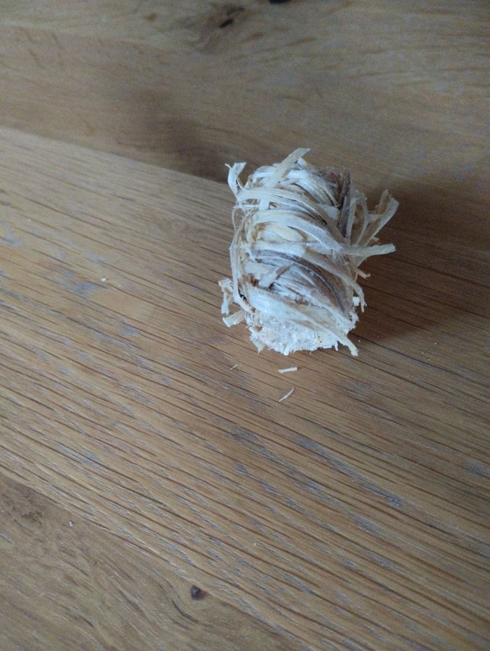 Allume feu 🔥 - photo numéro 3