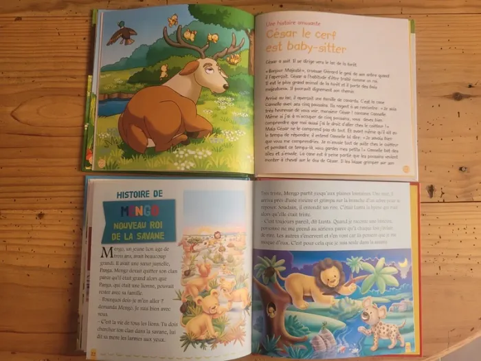 Lot livres animaux Cerf et Lion - photo numéro 8