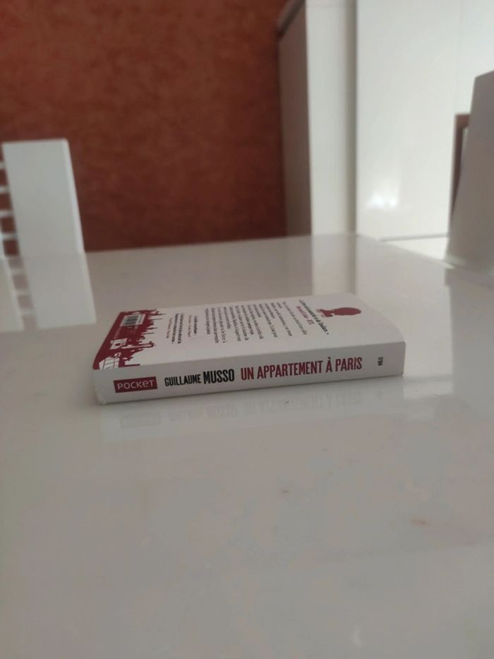 Un appartement à Paris - photo numéro 4