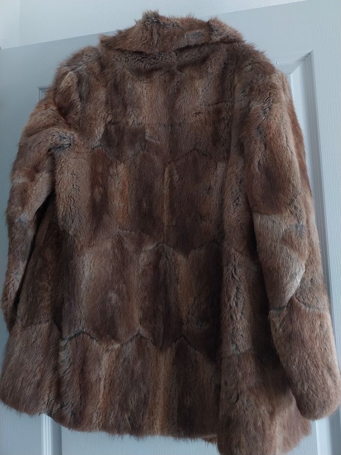 Manteau - photo numéro 2