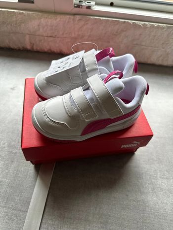 Basket puma