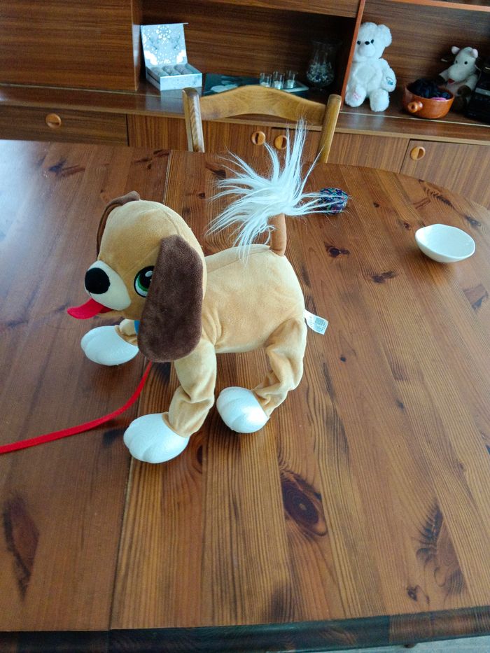 Chien toufou - photo numéro 2