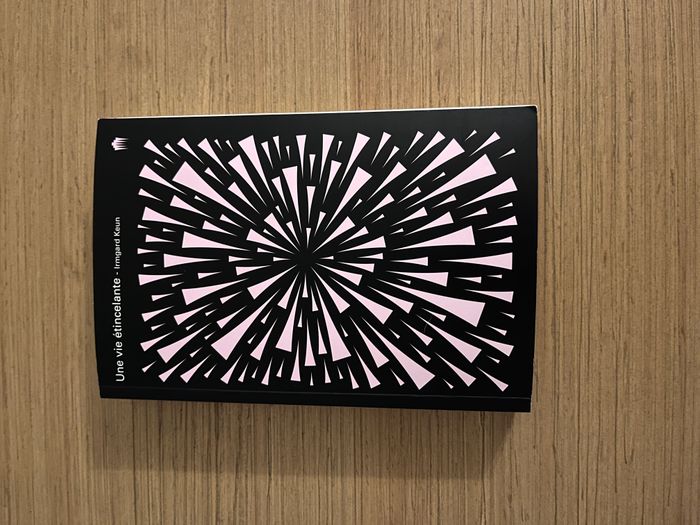 Une vie est étincelante - Irmgard Keun