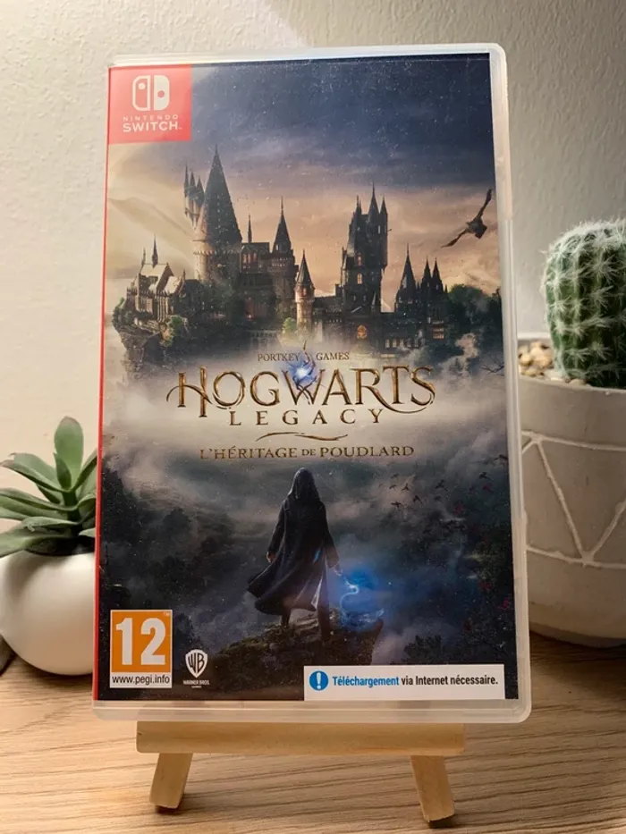 Hogwarts Legacy switch
