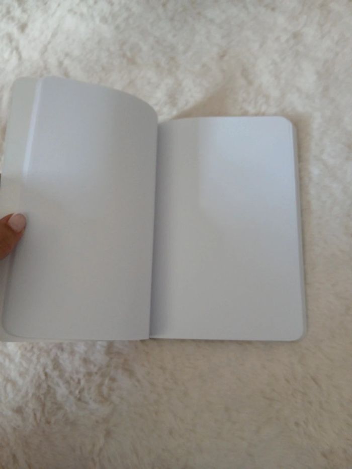 carnet Le chat botté - photo numéro 3