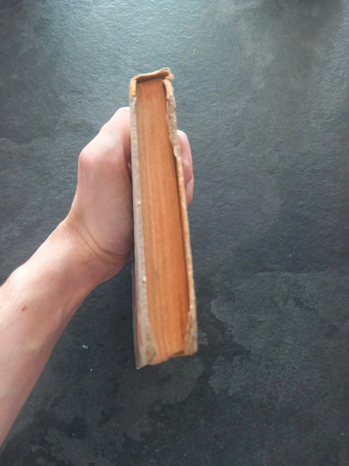 L'histoire d'une toute petite fille - photo numéro 5