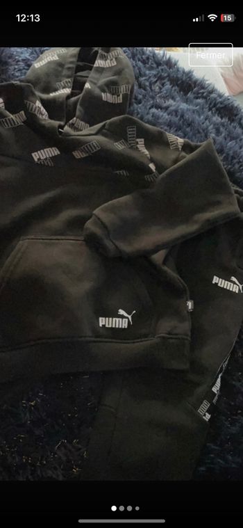 Ensemble puma