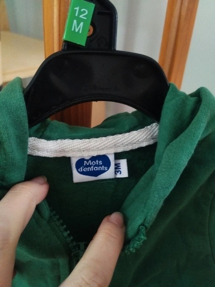 Lot de 2 cestes sweat à capuche bébé garçon taille 3 mois - photo numéro 5